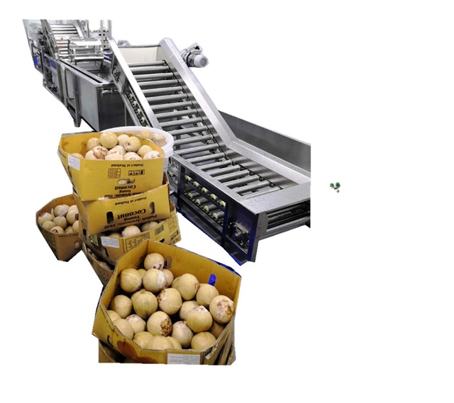 Coconut Water Production Line HPP Coconut Water Extractor Aseptic Filling Coconut Water Processing Machine