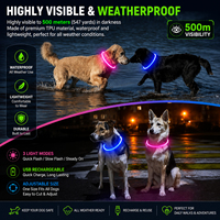 Collier LED Lumineux Rose Orange Clair pour Chien, Collier Intelligent Personnalisé pour Animaux de Compagnie par Grand Fabricant, Réfléchissant, en Silicone, Étanche, Motif Uni