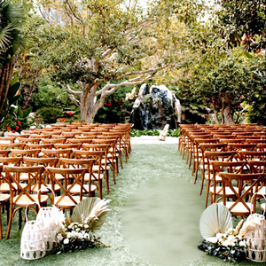 Chaises de banquet pour hôtel, fête, événement, dîner, en résine imitation bois de chêne, vente chaude, dossier croisé - Product Image 1
