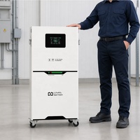 Batterie de stockage d'énergie solaire domestique hybride LiFePO4 51,2 V 314 Ah 16 kWh avec BMS intelligent intégré, étanche IP65, CAN, RS485, 6000 cycles