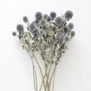 Fábrica de Yunnan, venta al por mayor, flores decorativas naturales, para el hogar <span class=keywords><strong>echinops</strong></span> preservados, boda, ramo floral de vacaciones - Product Image 1