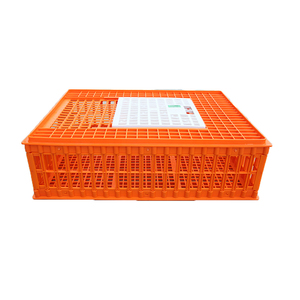 75x55x23cm Wholesale Poultry Chicken quail dove Equipment Plastic transport cage For Broiler Farm