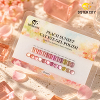 Vernis à ongles professionnel effet gel magnétique œil de chat OEM, facile à retirer, pour salon
