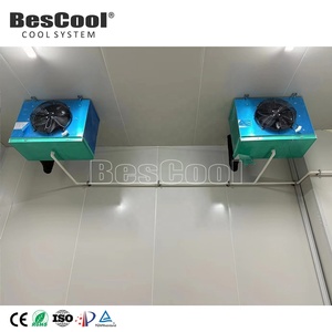 Bescool 4*3*3m đi bộ trong tủ đông 100mm PU Bảng điều chỉnh sử dụng phòng lạnh đơn vị lưu trữ tủ lạnh <span class=keywords><strong>container</strong></span> cho nhà máy sản xuất - Product Image 3