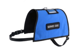 เสื้อกั๊กสุนัขแบบมีสายรัดสำหรับสัตว์เลี้ยงปรับได้,ที่รัดสุนัขแบบนิ่มและสวมใส่สบายปรับได้ไม่มีการดึงรองรับการปรับแต่งบริการตามความต้องการ - Product Image 2