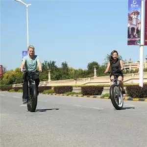 Eu 20 인치 26er 지방 타이어 합금 포크 탄소 프레임 지방 바퀴 굽기 운동 fatbike 접이식 자전거 자전거