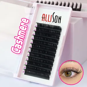 Allison Individuele Wimpers Groothandel Donkere Matte Kasjmier Lash Trays Russische Volume Wimper Extensie