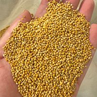 Mélange de graines de qualité supérieure Geshifeng pour oiseaux, alimentation pour perroquets, millet naturel, graines de canaris, graines de tournesol, pour canaris et perruches, fabrication en usine