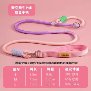 Многофункциональный нейлоновый двойной поводок для средних и крупных собак: для бега и походов, модный, современный, однотонный, для фестивалей и спорта, с функцией «свободные руки» - Product Image 4