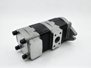 Pompe hydraulique à engrenages tandem à triple section série SDB SDB36.27L938 SDB36.36F9H1-R687 en fonte 5 CV 250 bars 36 cm³/<span class=keywords><strong>rev</strong></span> <span class=keywords><strong>1</strong></span> an de garantie - Product Image 6