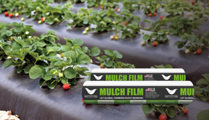 <b>Black</b> and Silver Agricultural Mulch Film <b>Plastic</b> Mulch Layer <b>Sheets</b> Outdoor Use Product - Product Image 5