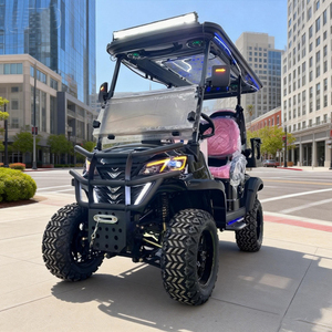 2026 MMC 편안한 도로 주행 가능 2인승 전기 골프 카트 48V 4륜 리튬 배터리 4WD 버기 10kw 25MPH 70-90km 주행거리 - Product Image 4