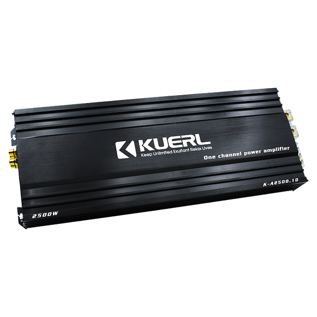 Hot New 12V 2500W High Power Class D Monoblock Digital Car Audio Amplifier Made of Aluminium Material Single Channel