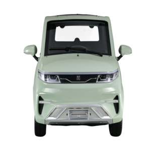 Mini Auto Elettrica da 1000W 2000W Economica a 4 Ruote con Certificato COC Omologata per la Circolazione Stradale in Europa, Due Porte, <span class=keywords><strong>2</strong></span> Posti in Vendita - Product Image 6