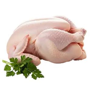 Poulet entier congelé de haute qualité, grade A, traité BQF, durée de conservation de 24 mois, vente en gros, approvisionnement en vrac, directement de l'usine au Brésil - Product Image 2