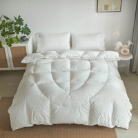 2025 Big OEM Order Service Beliebte Luxus-Baumwoll gewebe Ungarische Gänse feder und Daunen decke für Baby Kinder Quilt