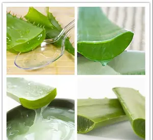 Bulk Fornecimento Melhor Preço Orgânico Puro Natural Aloe barbadensis Extrato/Aloe Vera Liofilizado Em Pó/Aloe Vera Gel Em Pó
