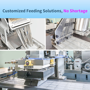 DPP-180pro Alu PVC tấm phẳng vỉ máy đóng gói Tablet viên nang vỉ máy đóng gói - Product Image 3