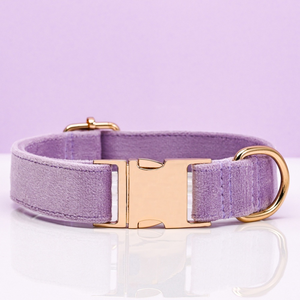 Collar y Correa para Mascotas en Colores Suaves, Ajustable y Cómodo, para Perros, Gatos, Cachorros y Gatos Teddy, en Oferta - Product Image 1