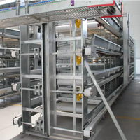Nouveau Système d'élevage de poulets de chair de type H en promotion, Cage d'alimentation automatique en acier galvanisé, Équipement avicole durable et durable