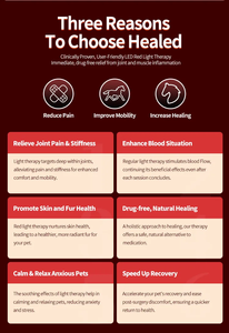 Tragbares Infrarot-Therapiegerät mit Timer für Pferde zur Regeneration von Rücken, Bauch und Waden, Heilung von Verletzungen und Frakturen, Rotlicht-Haustiermassage - Product Image 6