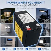 Batteries LiFePO4 à semi-conducteurs personnalisées haute capacité et haute puissance 12V 12.8V 6Ah 8Ah 10Ah 12Ah 15Ah 18Ah pour systèmes de sécurité