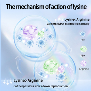 Bổ sung dinh dưỡng cho mèo con mèo lạnh và cúm thú cưng nhân dân tệ mèo con và mèo trưởng thành miễn dịch tăng cường dinh dưỡng mèo - Product Image 5