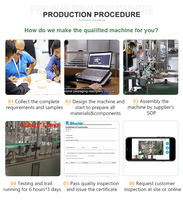 Línea de Producción Automática Multifuncional de Alta Precisión para Llenado de Perfumes, Máquina de Pulverización y Tapado