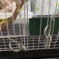 Nouvelle Serrure à ressort spirale de 7 cm en acier galvanisé argenté pour cages à lapins de marque CD, pour cages en fil métallique