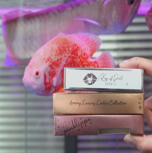 Kostenlose Probe Private Label Kosmetischer Lippenstift Lip gloss Eyeliner Mascara Verpackung Papier boxen Benutzer definierte Lipgloss-Boxen - Product Image 3