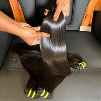 Lot de Cheveux Humains Bruts Non Traités Vietnamiens Lisses Naturels, Cuticules Alignées, Cheveux Vierges, Fournisseur d'Extensions de Cheveux Indiens et Cambodgiens