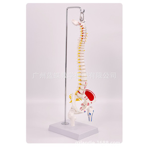 45CM - Product Image 3