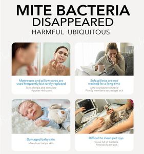 Household Anti-mildew Anti-static <b>Spray</b> Anti-Dust Plant Mite Removal <b>Spray</b> for <b>Bed</b> No Pollution/damaging Fabric - Product Image 5