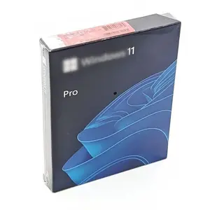 Win 11 Pro USB Pacote Completo 100% Ativação Online Win 11 Pro Caixa USB de Varejo Win 11 Pro Chave 12 Meses Garantido Transporte Rápido