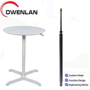 Thanh Chống Khí Điều Chỉnh Được Cho Bàn Nâng - Product Image 1