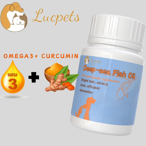 زيت السمك أوميغا 3 مكمل غذائي للكلاب والقطط - لصحة الجلد والفراء العضوي ودعم المناعة - Product Image 6