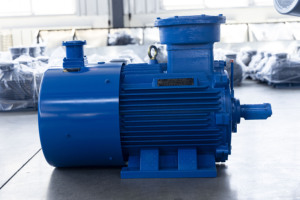 Moteur asynchrone triphasé efficace, moteur triphasé personnalisable - Product Image 3