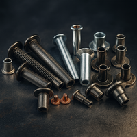 Rivet tubulaire de haute qualité Din Rivet solide en acier inoxydable Rivet solide à tête demi-ronde