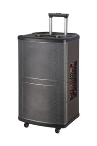12Inch Điện Lớn Nhà Theatre Hệ Thống Âm Thanh Loa Không Dây Âm Thanh Lớn Bên Giai Đoạn Xe Đẩy Kéo Rod Loa Với 2 Không Dây Mic - Product Image 2
