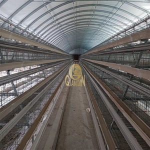 QinaQin Cages de ponte de type A Système d'alimentation de volaille 3 niveaux 96/120 oiseaux Cages de poule à batterie galvanisées de type A - Product Image 6