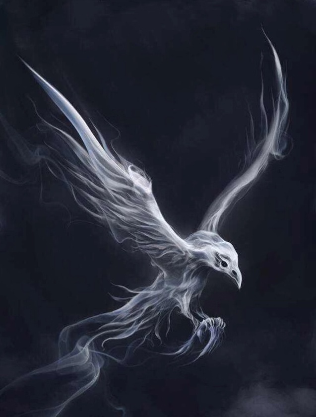 Beijing White Raven Technology Ltd. logo