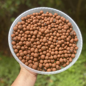 Arcilla Natural Expandida/Ceramsita/LECA/Soporte de Cultivo de 8-12 mm para Plantas de Jardín, en Oferta - Product Image 6