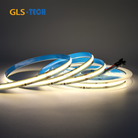 Bande LED numérique COB WS2811 24V 10mm 360 LED, contrôle intelligent par application, lumière unicolore à effet cascade pour usage résidentiel