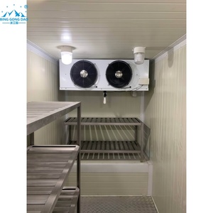 <span class=keywords><strong>Chambre</strong></span> Froide à <span class=keywords><strong>Prix</strong></span> Avantageux - Conteneur <span class=keywords><strong>de</strong></span> Stockage à -25°C pour Frites Surgelées, Viande et Volaille - Haute Productivité - Product Image 2