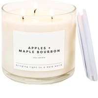 Bougies parfumées tendance en cire de soja, 1, 2 ou 3 mèches, non toxiques, dans un pot en céramique, différentes fragrances pour les fêtes de fin d'année