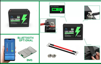 Batterie al Litio LiFePO4 12V 24V Dirette dalla Fabbrica, 50Ah 100Ah 150Ah, Batteria per Accumulo Energia Solare Domestica, Batteria al Litio a Ciclo Profondo