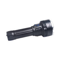 Lampe torche UV OEM personnalisée Lanterne lumière noire LED UVC à ondes courtes 254nm 300nm 365nm Lampe de poche ultraviolette UV