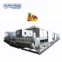 Oferta Especial: Deshidratador Comercial e Industrial de Frutas y Verduras, Máquina para Secar Tomates y Mango