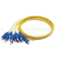 Sortie d'usine monomode G652D fibre optique cordon de raccordement réseau intérieur WiFi Compatible TCP pour SC LC APC UPC