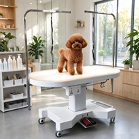 Table de toilettage électrique professionnelle pour animaux de compagnie avec lumière LED, plateau ovale et commande par pédale pour salon de toilettage canin et félin